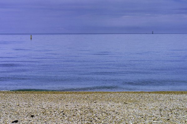 ¿Cuáles son los mejores alimentos para promover una buena salud ocular?