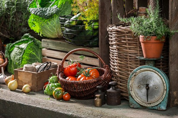 ¿Cuáles son los mejores festivales de música que no te puedes perder para una experiencia inolvidable?